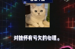 娱乐吃瓜第一期,揭秘娱乐圈幕后故事，带你领略明星真实生活