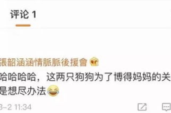 吃瓜娱乐地理,揭秘娱乐圈背后的故事与热点