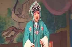 河南曲剧选段,河南曲剧魅力绽放