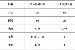 社保比例,企业负担与个人权益的平衡之道