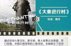 娱乐化纪录片,揭秘纪录片中的娱乐化现象