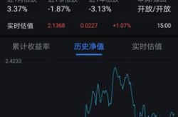 660010基金今天净值,市场动态与投资洞察