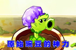 娱乐吃瓜酱豌豆射手,揭秘娱乐圈那些不为人知的幕后故事